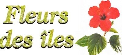 Compositions florales près de Sainte-Geneviève-des-Bois